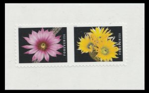 US 5350-5359 Cactus Flowers forever partial die-cut pair set (10 stamps) 2019