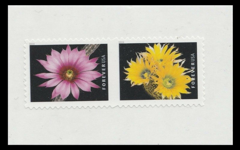 US 5350-5359 Cactus Flowers forever partial die-cut pair set (10 stamps) 2019
