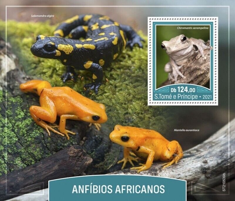 St Thomas - 2021 African Amphibians, Tree Frog - Stamp Souvenir Sheet ST210539b