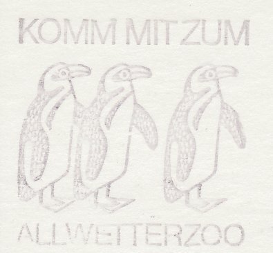 Postcard / Postmark Germany Bird - Penguin - Zoo Munster