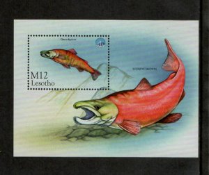 Lesotho 1998 - Marine Life Fish - Souvenir Stamp Sheet - Scott #1147 - MNH