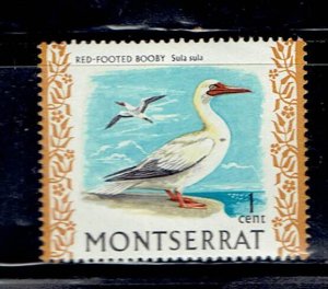 MONTSERRAT SCOTT#231 1970 1c RED-FOOTED BOOBY BIRD - MNH