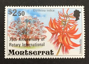Montserrat 1980 #420, Rotary International, MNH.