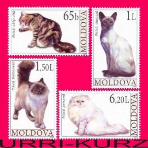 MOLDOVA 2007 Nature Fauna Farm Domestic Animals Pets Cats 4v Sc560-563 MNH