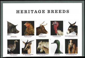 PCBstamps   US #5583/5592a Block $5.50(10x{55c})Heritage Breeds, MNH, (3)