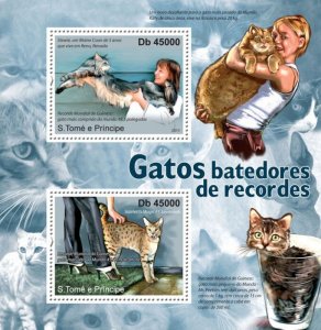 SAO TOME - 2011 - Record Breaking Cats - Perf 2v Sheet - Mint Never Hinged