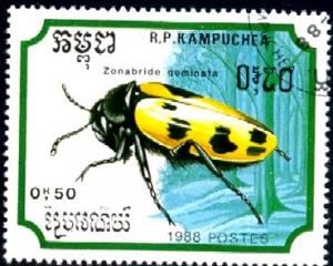 Insect, Zonabride Geminata, Cambodia stamp SC#892 Used