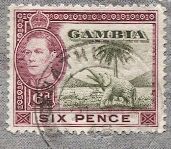 GAMBIA 1948 6d KGVI Elephant/Palm Tree on Formula Air Letter BATHURST to USA