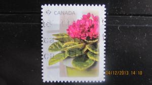 Recent Floral Definitive