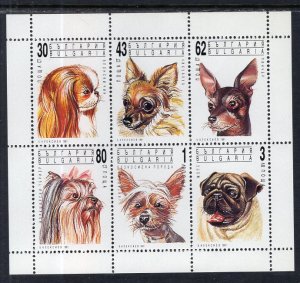 Bulgaria 3640a Dogs Souvenir Sheet MNH VF