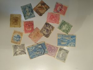 selection New Zealand 19th century CV $90