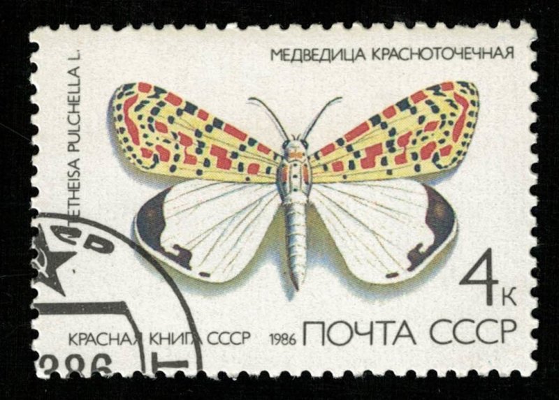 Butterfly (TS-2117)