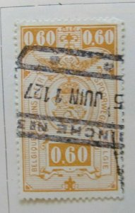 A6P17F122 Belgium Parcel Post and Railway Stamp 1923-24 60c used-