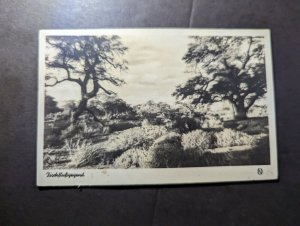 1938 British South West Africa RPPC Postcard Cover to Germany