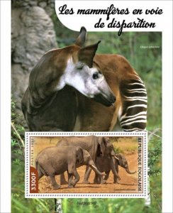 Togo - 2022 Endangered Mammals - Stamp Souvenir Sheet - TG220223b2