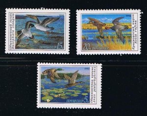 DUCK birds = full set of 3 stamps = Russia 1990 #5906-08 MNH