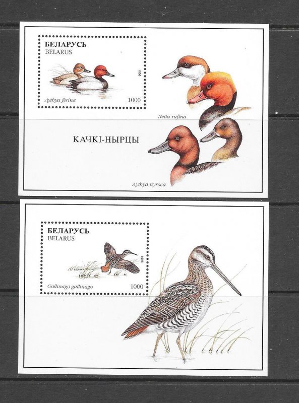 BIRDS - BELARUS #175-6  MNH