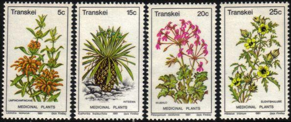 Transkei - 1981 Medicinal Plants Set MNH** SG 88-91