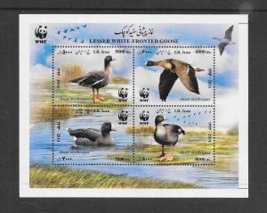 BIRDS- IRAN #3133   DUCKS  WWF  MNH