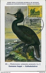 32930 - GERMANY DDR - Postal History - MAXIMUM CARD 1961 - BIRDS-