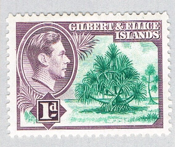 Gilbert & Ellice Islands 41 MLH Pandanus 1939 (BP68330)