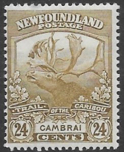 Newfoundland 125  1919   24 cents  fine mint - hnged