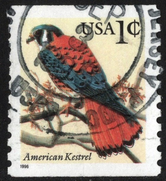 SC#3044 1¢ American Kestrel Single (1996) Used