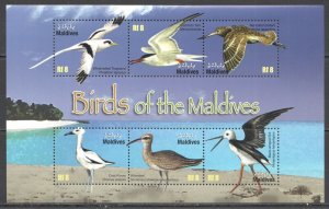 Ft098 2010 Maldives Birds Of The Maldives Fauna #4806-11 1Kb Mnh