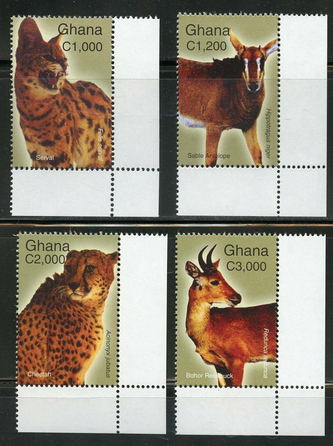 Ghana a Wild World of Animals SET Mint NH Africa Ghana, Stamp