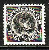 Newfoundland-Sc#58- id7-unused VLH 1/2c black Dog-nicely centered-1894- rainbow