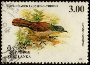 Sri Lanka 1079 - Used - 3r Ashy-headed Laughing Thrush (1993) (cv $0.50) +