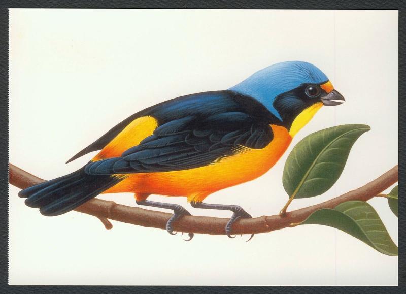 #UX293 20c Tropical Birds: Antillean Euphonia, Mint **ANY 5=FREE SHIPPING**