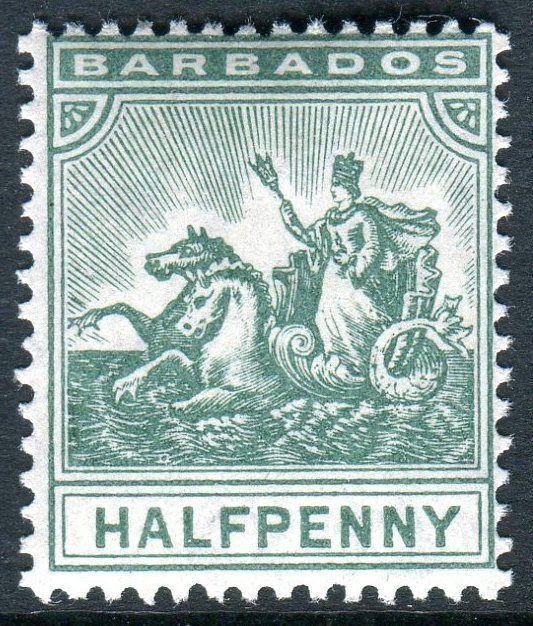 BARBADOS-1905 ½d Green.  An unmounted mint example Sg 136