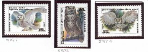 Russia Scott 5871-5873 MNH** 1990 animal bird owl set