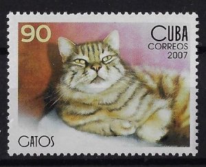 CUBA Sc# 4678  CATS  CATS CATS!  domestic feline pet 90c  2007 MNH