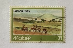 Malawi 1982  Scott 394  used - 7t,  wildlife in National parks, impalas