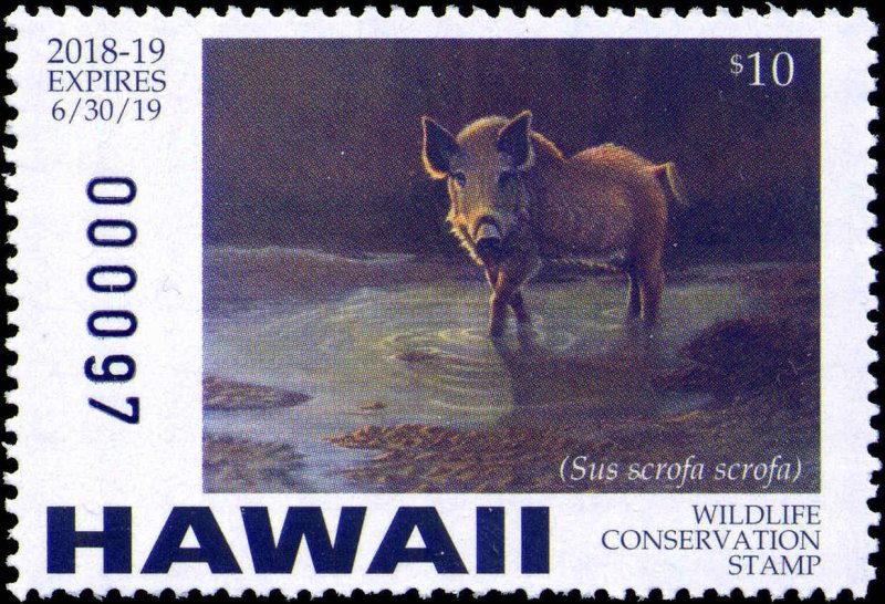 HAWAII #21  2018 STATE CONSERVATION STAMP BOAR by James E. Basham