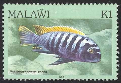 Malawi Sc# 439 MH 1984 Aquarium Species, Lake Malawi