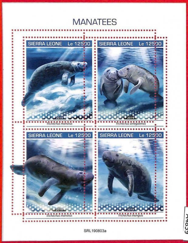 A4859 - SIERRA LEONE - ERROR MISPERF, Miniature s: 2019, Manatees, Marine Life