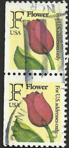 # 2519 USED RED ROSE    