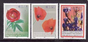 UN Kosovo-Sc#28-30- id9-unused NH set-Flowers-Poppies-2005-