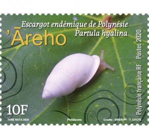 2020 Fr Polynesia Polynesian Tree Snail (2) (Scott NA) MNH