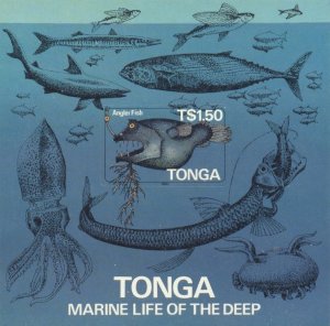 Tonga Scott #'s 601 MNH