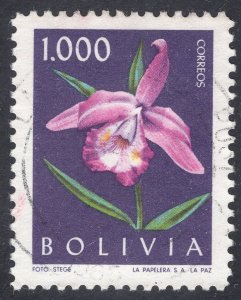 BOLIVIA SCOTT 462