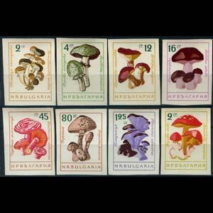 BULGARIA 1961 - Scott# 1183-90 Mushroom Imp Set of 8 NH