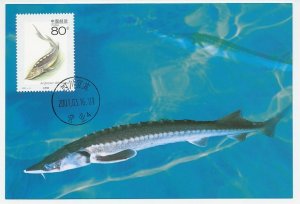 Maximum card China 2001 Fish - Sturgeon