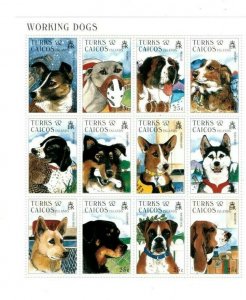 Turks and Caicos - 1996 - Dogs - Sheet of 12 Stamps - Scott 1210 - MNH