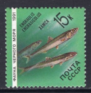 Russia & Soviet Union 5957 Marine Life MNH VF