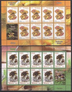 Belarus, Mushrooms MNH / 2008