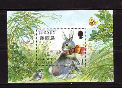 Jersey Sc 883 1999 Year of the Rabbit stamp souvenir sheet mint NH